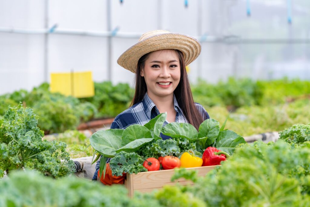 Farmer Picking Fruit at Lunox Garden