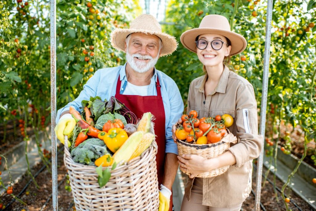 Gardener and Son Harvest Vegetables