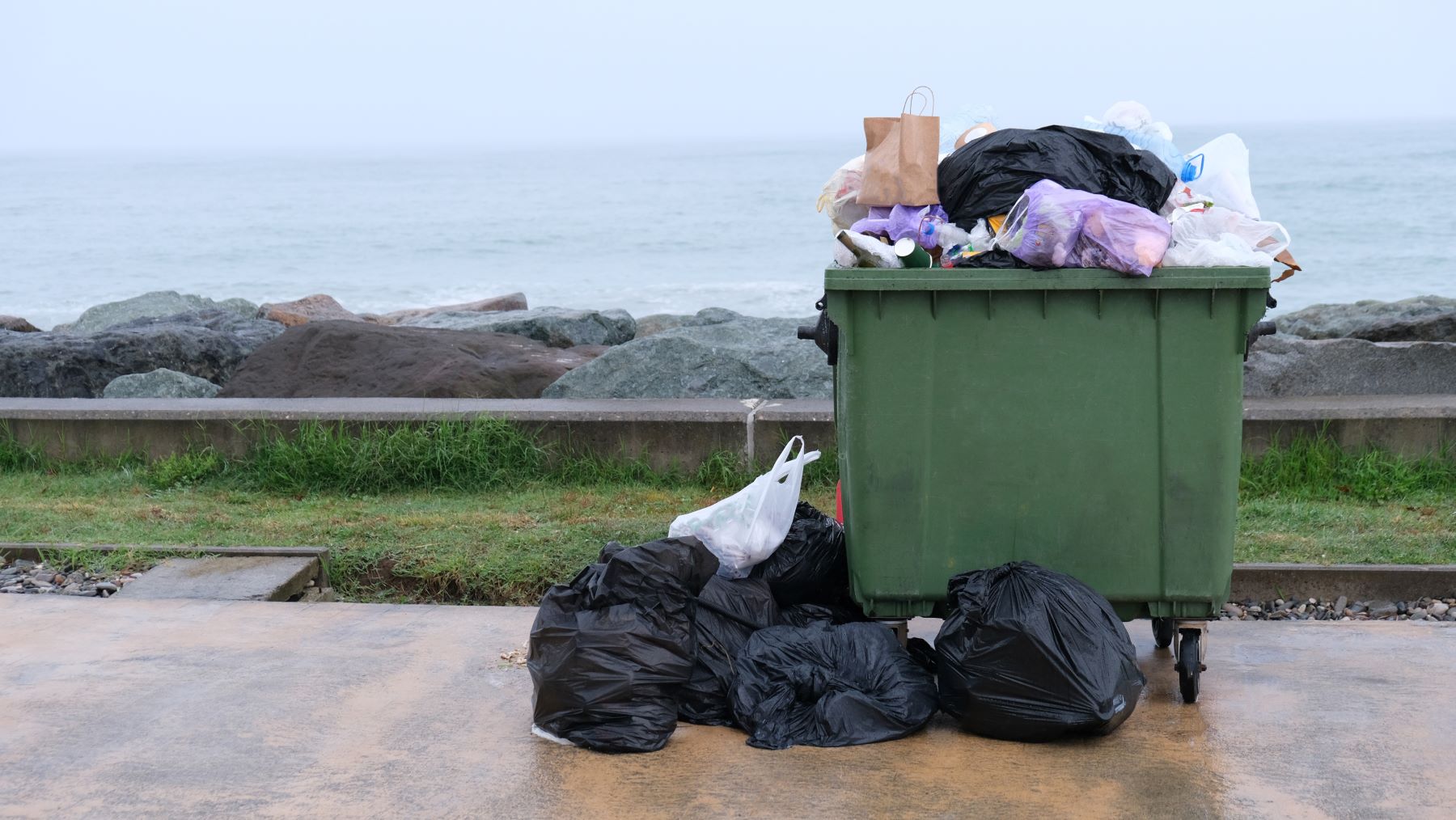 “A Full Trash Bin on the Australian Coast in the Morning.”